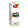 Plantusin, R60, spray pentru gat, 20ml - Fares