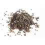 Grau SPELTA pt germinat eco-bio 200g - Germline