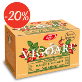 Vigoare, ceai de macese si ghimbir, 20plicuri - Fares