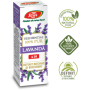 ULEI ESENTIAL DE LAVANDA 10ml - FARES