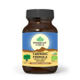 Turmeric Formula - 60cps veg - ORGANIC INDIA