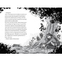 Luna si padurea magica: Un secret in gherute - Carte - Editura DPH