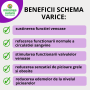 Schema de tratament natural VARICE