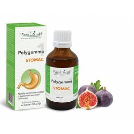 Polygemma 1 - Stomac 50ml Plantextrakt