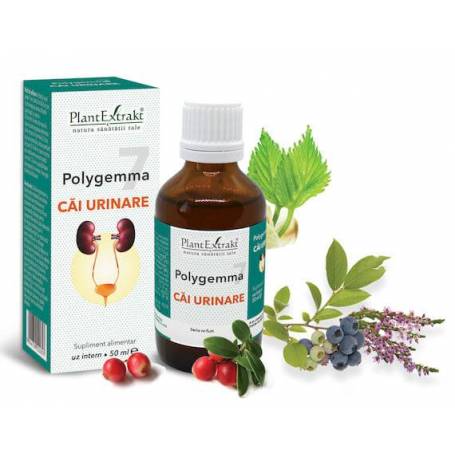 Polygemma 7 - Cai urinare 50ml Plantextrakt