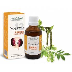 Polygemma 12 - Rinichi detoxifiere 50ml Plantextrakt
