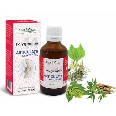 Polygemma 14 - Articulatii detoxifiere 50ml Plantextrakt