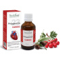 Polygemma 23 Cardio, 50ml - Plantextrakt