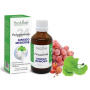 Polygemma 24 ginkgo memorie, 50ml - Plantextrakt