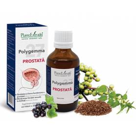 Polygemma 27 - Prostata, 50ml Plantextrakt