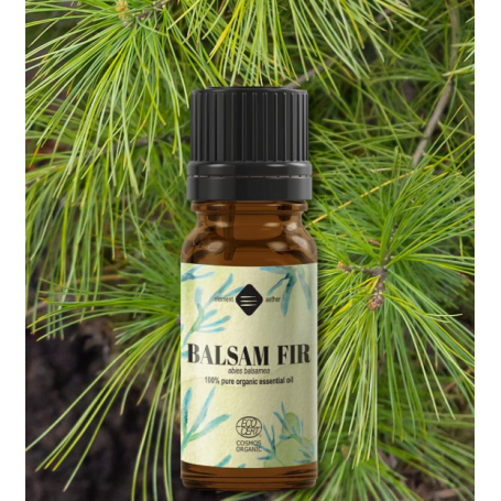 Ulei esential de Brad balsamic, eco-bio, 10ml - Mayam