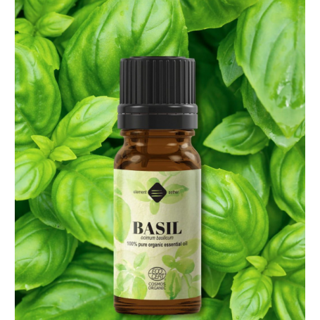 Ulei esential de Busuioc tropical, eco-bio, 10ml - Mayam