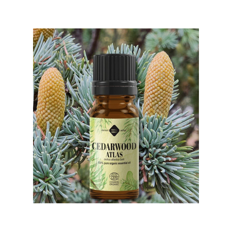 Ulei esential de Cedru Atlas, eco-bio, 10ml - Mayam