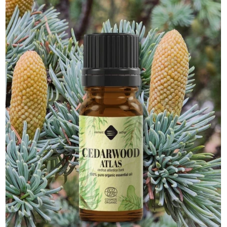 Ulei esential de Cedru Atlas, eco-bio, 10ml - Mayam