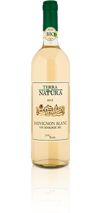 Vin sauvignon blanc sec - eco-bio - 750ml - terra natura