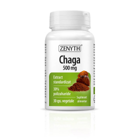 Chaga, 500 mg, 30 capsule, Zenyth