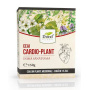 Ceai Cardio plant 150g - DOREL PLANT