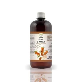 Sirop de catina si propolis, 500 ml, Dorel Plant