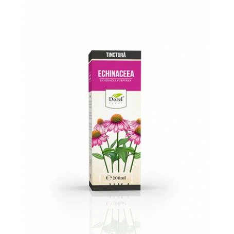 Tinctura de Echinaceea Purpureea, 200 ml, Dorel Plant