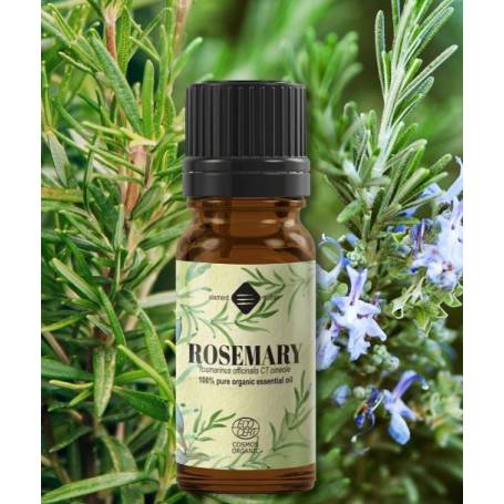 Ulei esential de Rozmarin, eco-bio, 10ml - Mayam