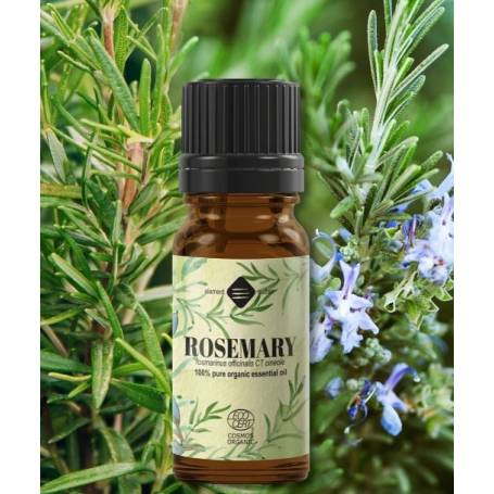 Ulei esential de Rozmarin, eco-bio, 10ml - Mayam