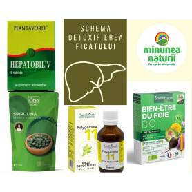 Schema detoxifiere hepatica, steatoza hepatica (ficat gras) si curatarea ficatului