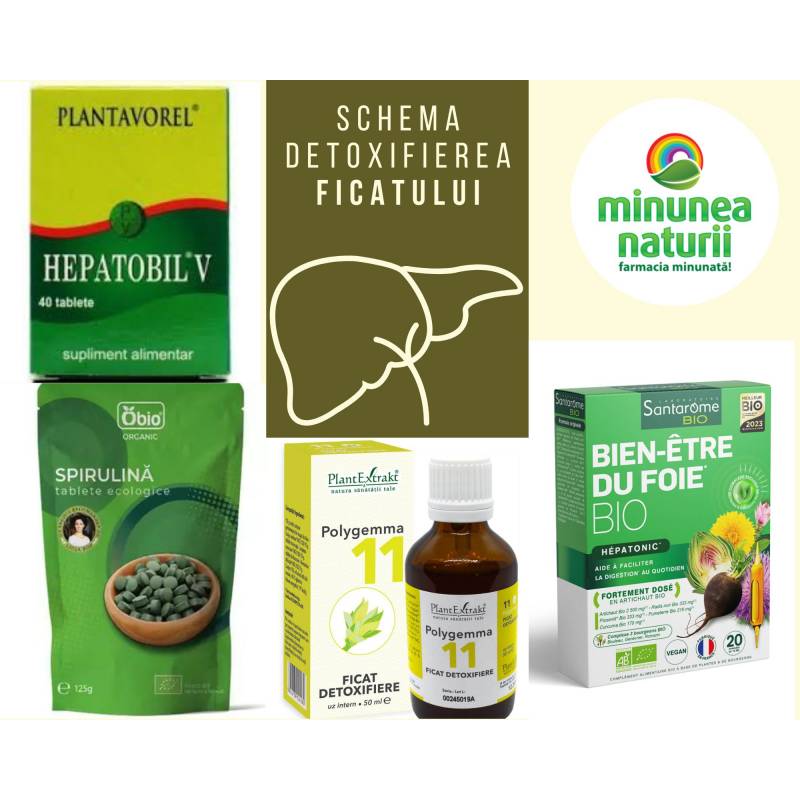 Schema detoxifiere hepatica, steatoza hepatica (ficat gras) si
