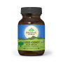 Ficat si Rinichi - Liver - Kidney - 60cps veg - ORGANIC INDIA