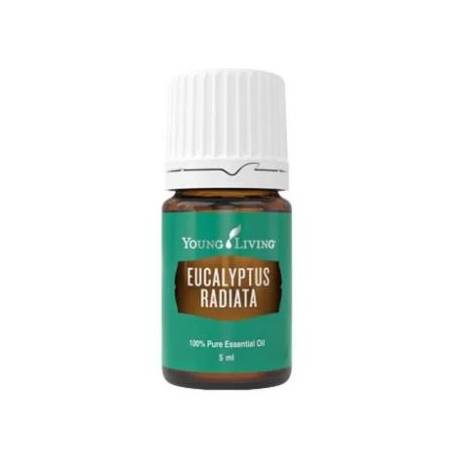 Ulei esential de Eucalipt Radiata 5ml - Young Living