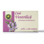 VENTRILICA 30G - HYPERICUM