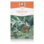 Ceai Troscot 50g - Stef Mar