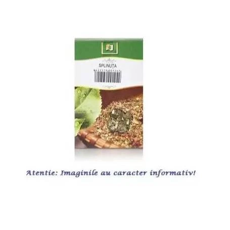 Ceai de Splinuta 50g - Stef Mar