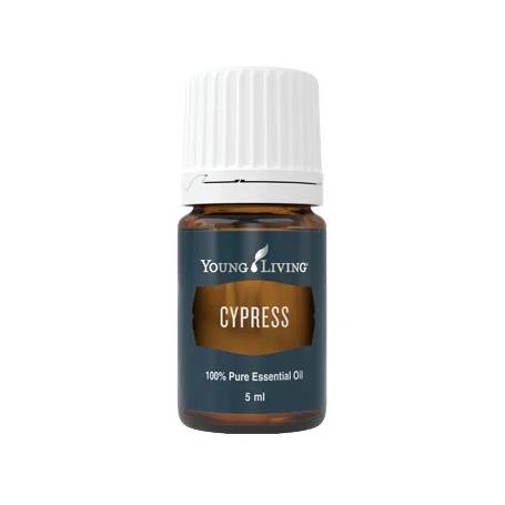 Ulei esential de Chiparos (Cypress), 5 ml, Young Living