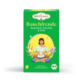 Ceai Balance Your Day After Meal cu Rozmarin, fenicul si anason Eco-Bio 16 plicuri - Shotimaa