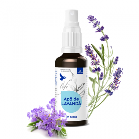 Apa de Lavanda, 100 ml, DVR Pharm