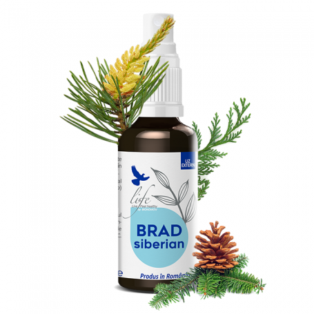 Brad siberian, ulei esential integral, 50 ml, DVR Pharm