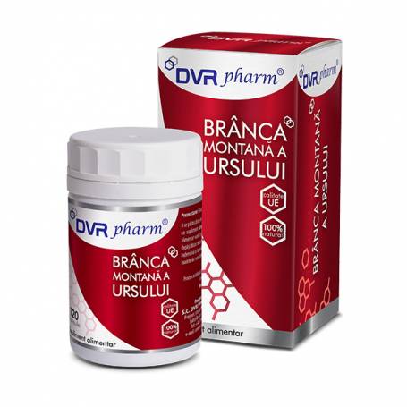 Branca montana a ursului, 120 capsule, DVR Pharm