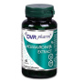 Melissa - Roinita extract 60cps - DVR Pharm