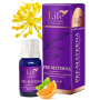 Pre-materna 10ml - DVR Pharm
