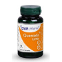 Quercetin Ultra 30 capsule - DVR Pharm