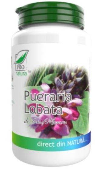 Pueraria Lobata 150cps - Pro Natura