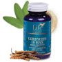 CORDYCEPS 10 MAX 120 capsule - DVR Pharm