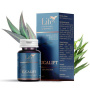 Eucalipt capsule cu uleiuri esentiale 15 capsule- DVR Pharm