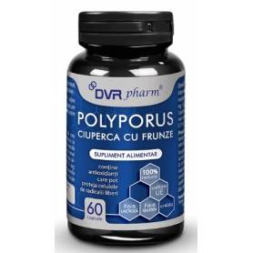 Polyporus 60 capsule - DVR Pharm