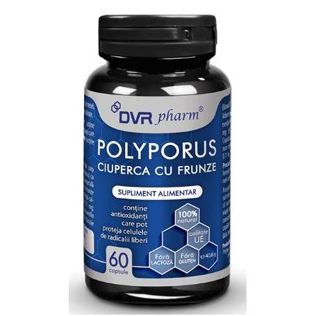 Polyporus 60 capsule - DVR Pharm