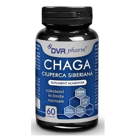 Chaga 60 capsule - DVR Pharm