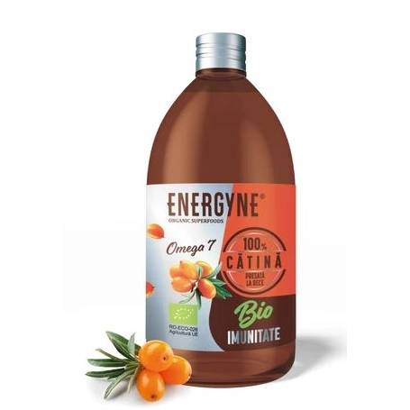 SUC DE CATINA 100% PRESAT LA RECE ECO-BIO 500ml - ENERGYNE