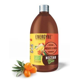 NECTAR DE CATINA CU GHIMBIR ECO-BIO 250ml - ENERGYNE