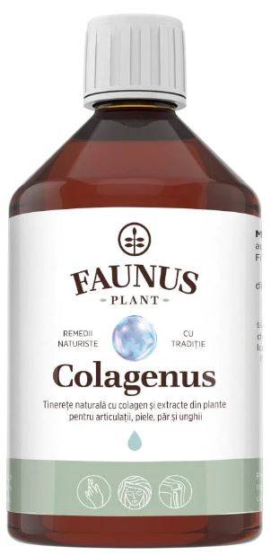 Colagenus - Colagen Lichid Hidrolizat Pentru Sanatatea Articulatiilor, Pielii, Parului Si Unghiilor - 500ml, Faunus Plant