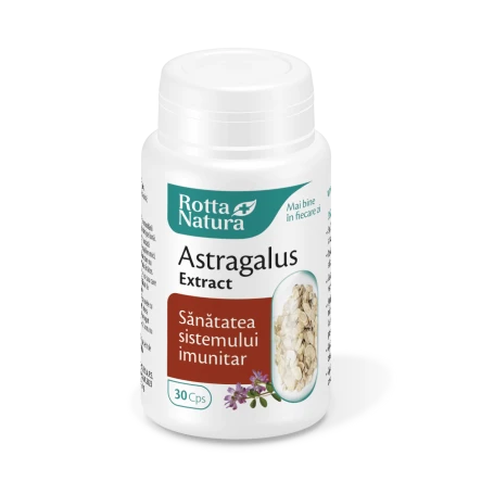 Astragalus Extract, contribuie la sanatatea sistemului imunitar, 30 capsule, Rotta Natura